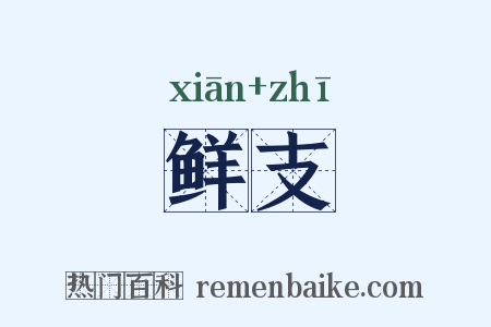 鲜支是什么意思的图片